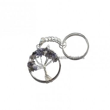 Iolite Tree Of Life Keychain