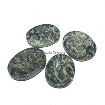 Kambaba jasper Worry stone  