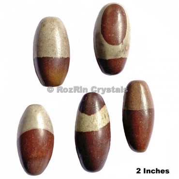 Natural Narmada Lingam 2 Inches